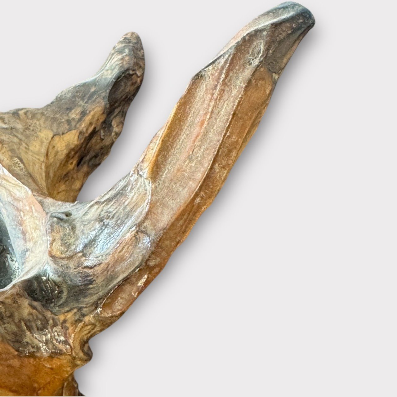 古董 古玩 收藏 日本天然木擺件 樹癭藝術品 侘寂風擺設 自然風格家飾 禪意空間擺設 日式原木擺件 茶室裝飾推薦 侘寂藝術擺件 自然素材收藏品 枯山水空間美學