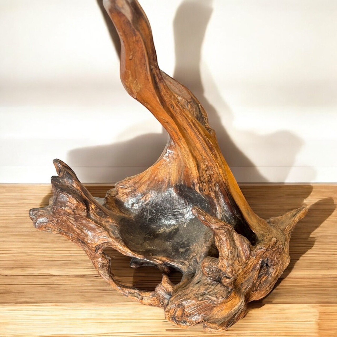 古董 古玩 收藏 日本天然木擺件 樹癭藝術品 侘寂風擺設 自然風格家飾 禪意空間擺設 日式原木擺件 茶室裝飾推薦 侘寂藝術擺件 自然素材收藏品 枯山水空間美學
