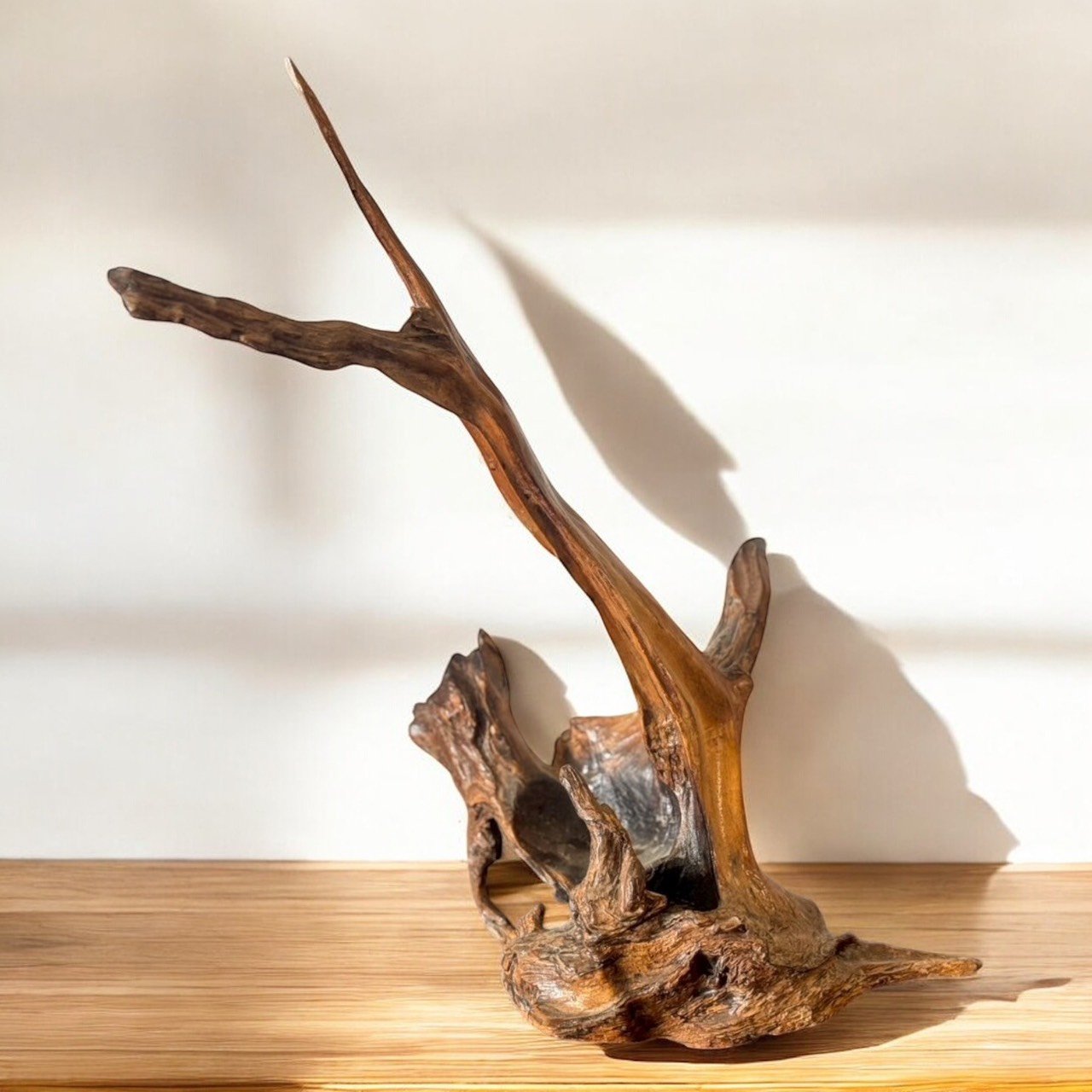 古董 古玩 收藏 日本天然木擺件 樹癭藝術品 侘寂風擺設 自然風格家飾 禪意空間擺設 日式原木擺件 茶室裝飾推薦 侘寂藝術擺件 自然素材收藏品 枯山水空間美學