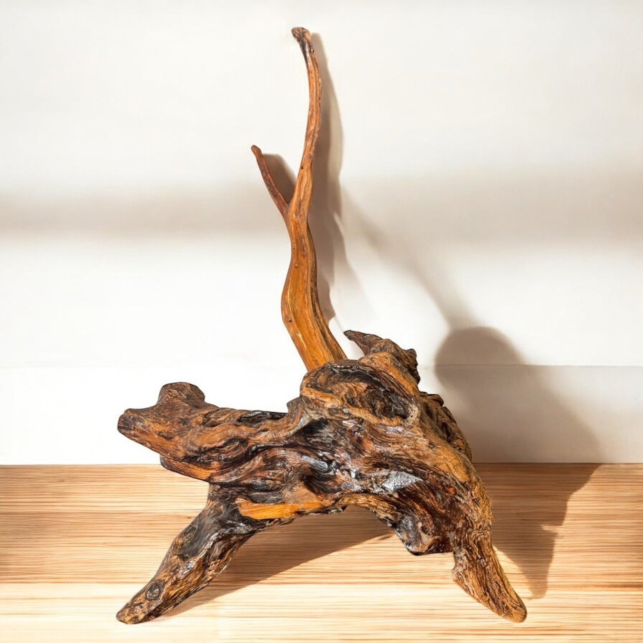 古董 古玩 收藏 日本天然木擺件 樹癭藝術品 侘寂風擺設 自然風格家飾 禪意空間擺設 日式原木擺件 茶室裝飾推薦 侘寂藝術擺件 自然素材收藏品 枯山水空間美學
