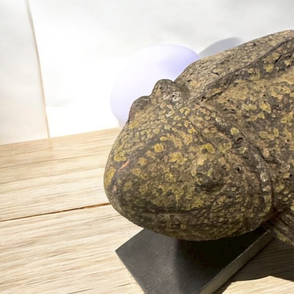 古董 古玩 收藏 日本木雕魚 古董魚擺飾 日本古物 木雕藝術 日本供箱 日本民俗擺飾 吉祥風水擺設 和風空間擺件 手工木雕收藏 昭和時期木雕