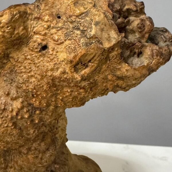 古董 古玩 古物收藏 拍賣 天然瘤木藝術擺件 樹瘤木根雕 自然木雕藝術 日式茶道擺設 香道用具底座 侘寂風擺飾 高端木藝收藏 原木自然紋理 禪意空間佈置 獨一無二木雕