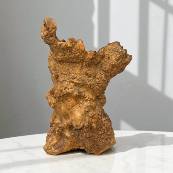 古董 古玩 古物收藏 拍賣 天然瘤木藝術擺件 樹瘤木根雕 自然木雕藝術 日式茶道擺設 香道用具底座 侘寂風擺飾 高端木藝收藏 原木自然紋理 禪意空間佈置 獨一無二木雕