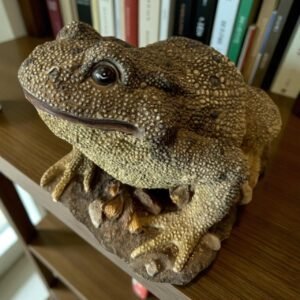 古董 古玩 收藏 日本樹脂青蛙擺飾 寫實動物雕像 和風庭園造景 日本青蛙置物 招財青蛙擺件 日式庭園裝飾 家居端景擺設 昭和風吉祥物 樹脂仿真雕塑 大行日本藝術倉儲