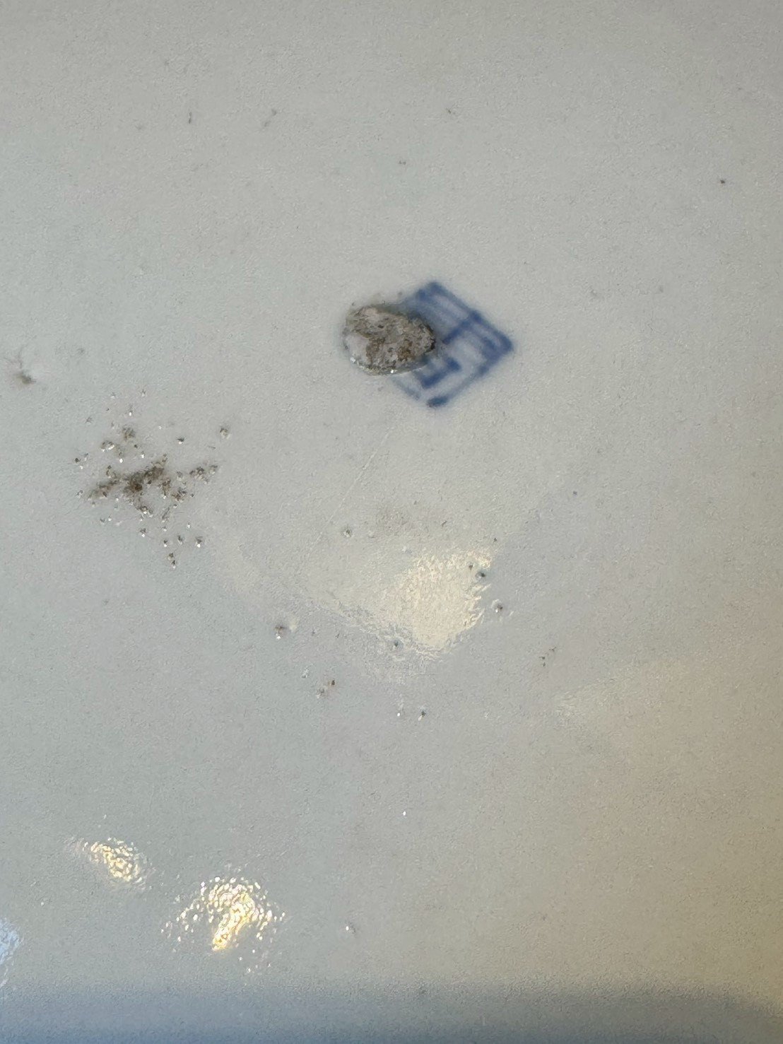 大行日本藝術倉儲 古董 收藏 拍賣 日本昭和伊萬里風 色繪大缽收藏 36公分磁器大盤 牡丹紋色繪花皿 日式古董餐飲裝飾 昭和民藝大淺盤 宴客用大型陶瓷 日本風格居家軟裝 浮世美學瓷器 伊萬里燒風格裝飾盤